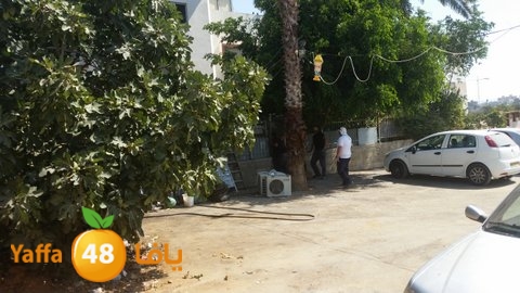 dahmashasudwq (3).jpg